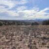 Abiquiu, NM 0.5-Acre Off-Grid Lot - $550 - Image 2