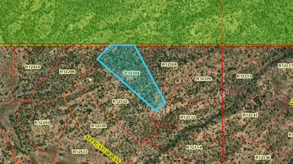 20 Acres for Your Dream Escape Near Ramah, NM - $9,999 - Image 6