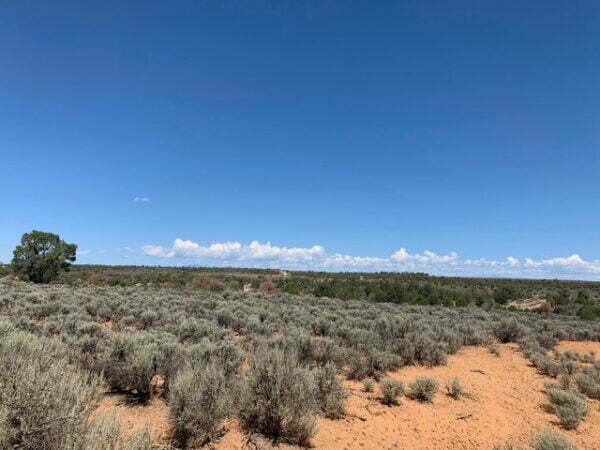 Ten Acres NO ZONING Close to Navajo Lake Marina, NM  - $14,000 - Image 16