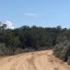 Ten Acres NO ZONING Close to Navajo Lake Marina, NM  - $14,000 - Image 15