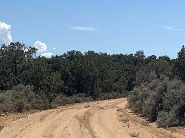 Ten Acres NO ZONING Close to Navajo Lake Marina, NM  - $14,000 - Image 15