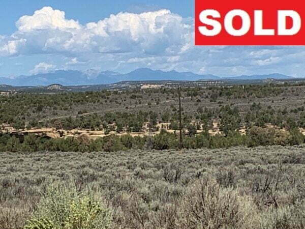 Ten Acres NO ZONING Close to Navajo Lake Marina, NM  - $14,000