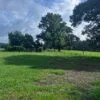 Improved Pasture Land with Two Ponds Near Woodville, TX (14.6 Acres) - $125,000 - Image 5