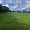 Improved Pasture Land with Two Ponds Near Woodville, TX (14.6 Acres) - $125,000 - Image 4