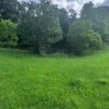 Improved Pasture Land with Two Ponds Near Woodville, TX (14.6 Acres) - $125,000 - Image 3