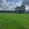 Improved Pasture Land with Two Ponds Near Woodville, TX (14.6 Acres) - $125,000