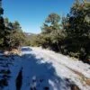 Five Acres With Incredible Views in the San Pedro Mountains of New Mexico - $19,900 - Image 3