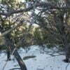 Five Acres With Incredible Views in the San Pedro Mountains of New Mexico - $19,900 - Image 14