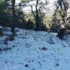 Five Acres With Incredible Views in the San Pedro Mountains of New Mexico - $19,900 - Image 15