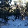 Five Acres With Incredible Views in the San Pedro Mountains of New Mexico - $19,900 - Image 16