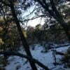 Five Acres With Incredible Views in the San Pedro Mountains of New Mexico - $19,900 - Image 18