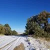 Five Acres With Incredible Views in the San Pedro Mountains of New Mexico - $19,900 - Image 25