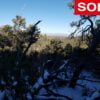 Five Acres With Incredible Views in the San Pedro Mountains of New Mexico - $19,900