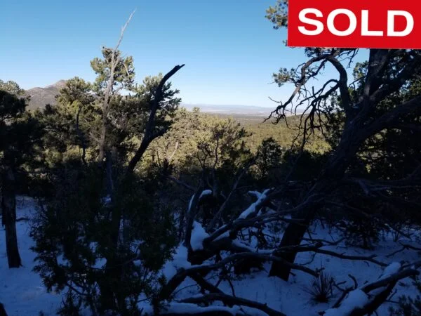 Five Acres With Incredible Views in the San Pedro Mountains of New Mexico - $19,900