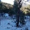 Five Acres With Incredible Views in the San Pedro Mountains of New Mexico - $19,900 - Image 2