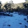 Five Acres With Incredible Views in the San Pedro Mountains of New Mexico - $19,900 - Image 4