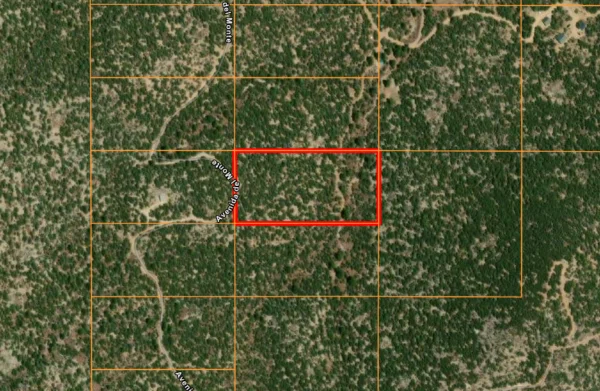 Five Acres With Incredible Views in the San Pedro Mountains of New Mexico - $19,900 - Image 5
