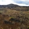 42.76 Acres with Views for Miles Around Near Madrid, NM - $44,900 - Image 22