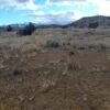 42.76 Acres with Views for Miles Around Near Madrid, NM - $44,900 - Image 21