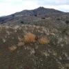 42.76 Acres with Views for Miles Around Near Madrid, NM - $44,900 - Image 19