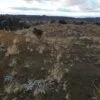 42.76 Acres with Views for Miles Around Near Madrid, NM - $44,900 - Image 18
