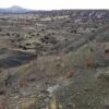 42.76 Acres with Views for Miles Around Near Madrid, NM - $44,900 - Image 13