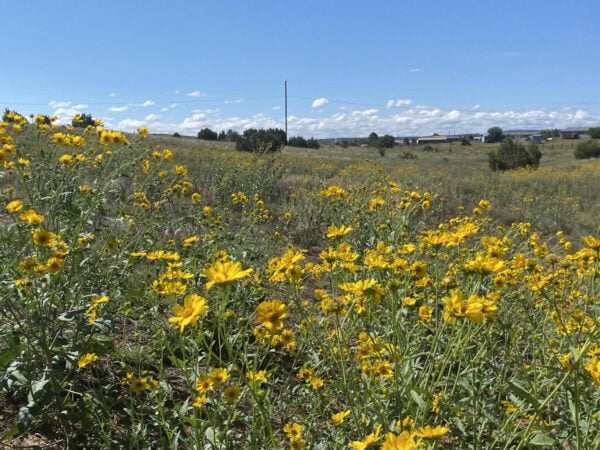 2.5 Acres Near Edgewood, NM - $57,000 - Image 2