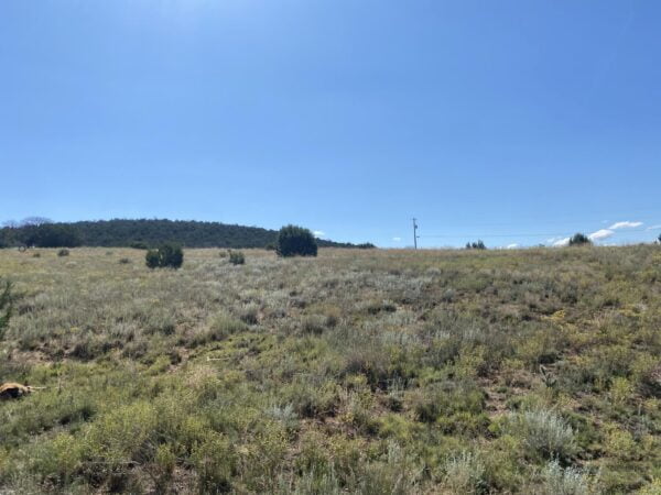 2.5 Acres Near Edgewood, NM - $57,000 - Image 7